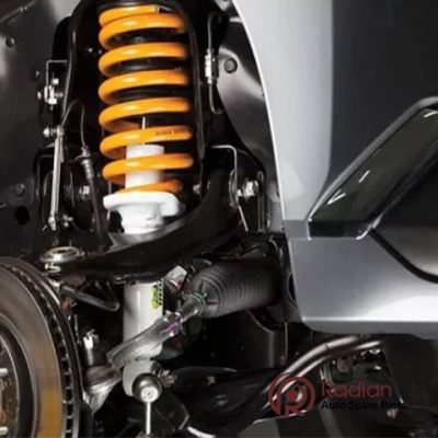 راهنمای جامع نگهداری صحیح از سیبک‌ها برای افزایش طول عمر جلوبندی