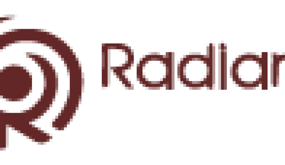 راهنمای جامع خرید لوازم جلوبندی اصل پژو 206: نگاهی به تجربه رادیان پارت